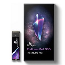 SK하이닉스 플래티넘 P41 PCIe NVMe Gen4 M.2 2280 SSD (_미국정품), 2TB