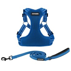 Best Pet Supplies 보이저 스텝인 플렉스 개 하네스 - 전천후 메시 소형 및 중형견용 조절 가능한 레드 스몰, XS (Chest: 13 - 16"), 하네스 목줄 세트 (로열 블루)