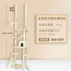 아쭈타워5층