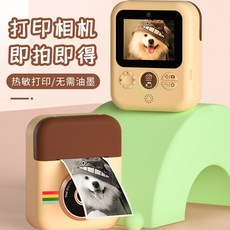 열전사사진기