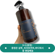 [3+1] 한정수량 바디브 미오 헤어 트리트먼트 1000ml 대용량 VADEV 미용실트리트먼트 단백질 헤어팩 LPP 헤어손상복구 셀프클리닉 극손상 모발케어 약산성 맥주효모추출물, 2.러브&데스티니 향, 2개, 1L