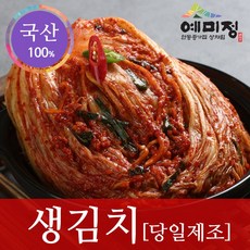예미정 생김치 맛있는 김치주문 5kg 당일생산 국산100%, 1box