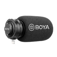 스테레오마이크