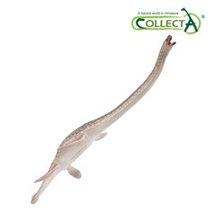 엘라스모사우르스