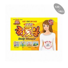 핫팩 온종일화롯불 손난로 파스형 1박스 찜질팩 보온팩 등산용 주머니난로 방한 붙이는, 단일, 상세페이지 참조, 상세페이지 참조