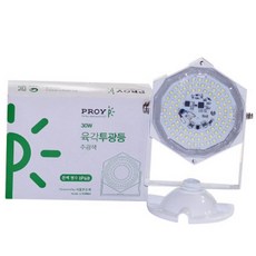 대도엘이디 LED 육각투광등 흰색 30W, 1개
