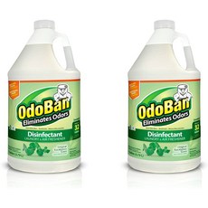 OdoBan 다목적 클리너 컨센트레이트 2 Gal 오리지널 유칼립투스 향-냄새 제거제 제 홍수 화재 피해 복구