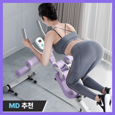 핏라인360 홈트 뱃살 운동기구, 퍼플