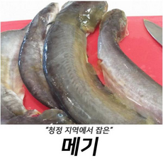 홍메기