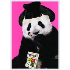 쓰레기 라이브 (3DVD + BOOK) (초회 한정판)