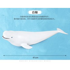 귀신고래피규어