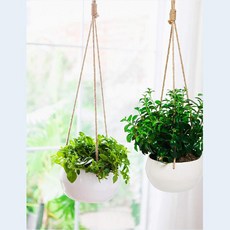 수경재배벽걸이화분