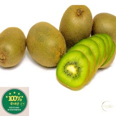 국산 참다래 키위 중대과 1KG (8-10과) 보성키위