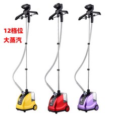 에볼리스팀다리미