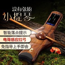 전기 전자 바이올린 뮤지컬 캣츠 초보 성인 아동학생 여연주 입문 안해도 되는 악기, 오류 발생시 문의 ( 다팔레옹 )
