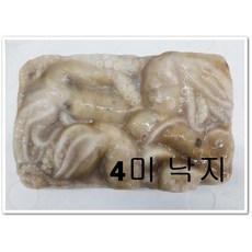 중국산냉동낙지