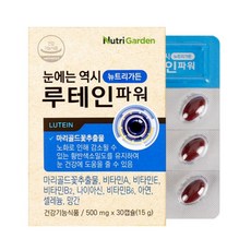 뉴트리가든 루테인 파워 500mgx30c 눈실핏줄터짐 루테인효능 눈시림