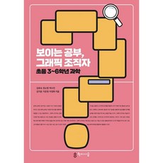 보이는공부그래픽조직자