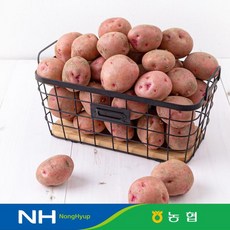 해든팜 [맛딜]포슬포슬 카스테라 햇 홍감자 5kg 대(100g이상)