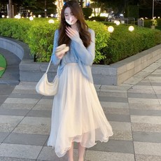 디올샤스커트