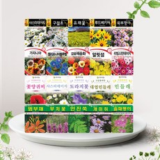 솔림텃밭몰 10월 파종 가능 꽃 야생화 씨앗 모음, 41. AR야생과꽃 1000립, 1개