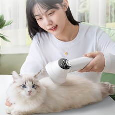 애완견 털말리기 드라이어 강아지 건조기 고양이 드라이기, 퍼플+추가키트, 1개