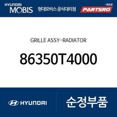 그릴-라디에이터 (86350T4000) 제네시스 G90 (RS4)