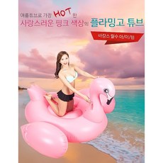 홍학튜브