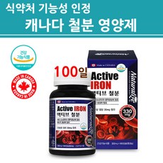 마시는빈혈약