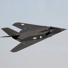 RC 비행기 전투기 무선 취미 스카이 Lanxiang 모델 LX 64mm PNP F117 비행 Nighthawk ARF, 235090