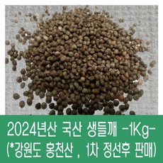 [다온농산] 국산 생들깨 -1Kg- <강원도 홍천산> 1차 석발/정선 후 판매, 1개