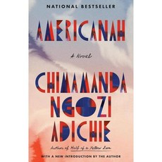 Americanah A novel