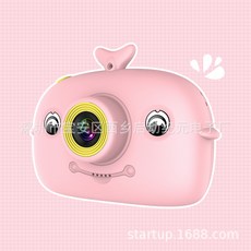 dsrl카메라