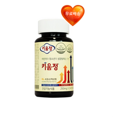 키움정