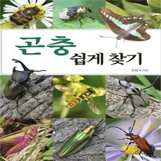 곤충책쉽게찾기