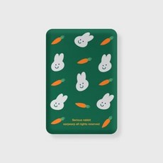 아트박스/어프어프 Rabbit carrot-green(무선충전보조배터리), 5000mAH