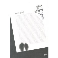 한국 문학의 유령들:류보선 평론집, 문학동네,