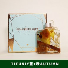 부유식물