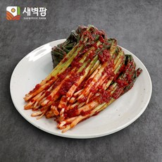 새벽팜 김치 수입 파김치 5Kg 중국산김치 대용량 도매 업소용, 수입 파김치 5kg(아이스박스), 1개