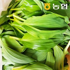 강원도 인제 기린농협 믿음 명이나물 산마늘 1kg 절임소스 증정