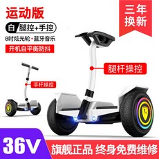 전동이륜평행차