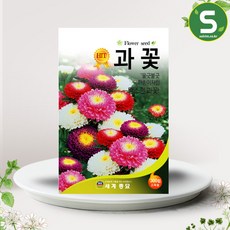대전꽃원데이클라스