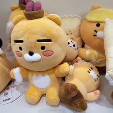 라이언과춘식이의집