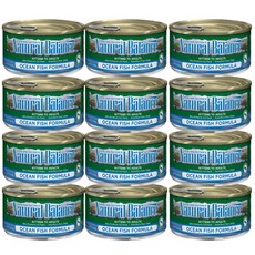 내추럴그레이트니스주식캔