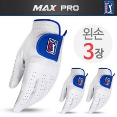 투어프로레슨