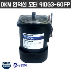 DKM 인덕션 모터 9IDG3-60FP 삼상 220V 15파이 감속기타입