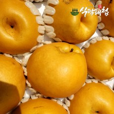식탐대첩 나주배 가정용 못난이 배 8kg 8-12과, 단품, 상세 설명 참조