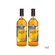 포모나 믹솔로지 진저 레몬 시럽 1000ml x 2개