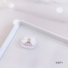 반려묘 촬영권 반려견 DIY 고양이 집게핀 연출 강아지 미간핀 소품 스튜디오 셀프, 스타일 3, 잔털집게 3.2CM, 1개