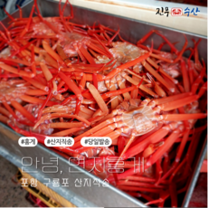 [진무수산]포항 구룡포 산지직송 가성비 좋은 홍게 2K 3K 4K, 1개, 가성비 2k (4-6미)